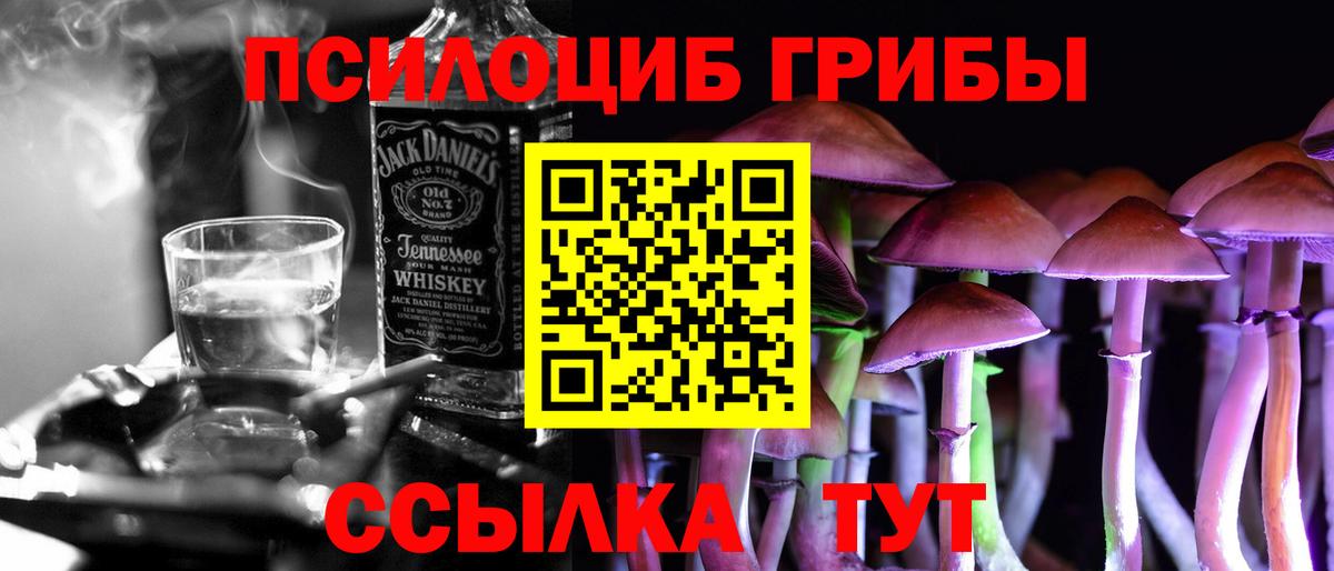 Галлюциногенные грибы Psilocybine cubensis  Псилоцибиновые грибы Psilocybe  Тулун  Вход с VPN 